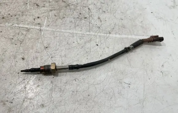 Exhaust gas temperature sensor