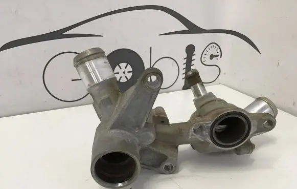 Thermostat/thermostat housing