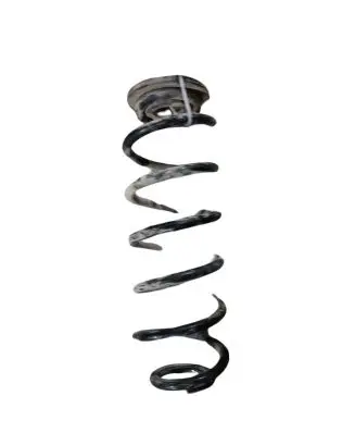 Volkswagen Golf Plus Rear coil spring NOCODE