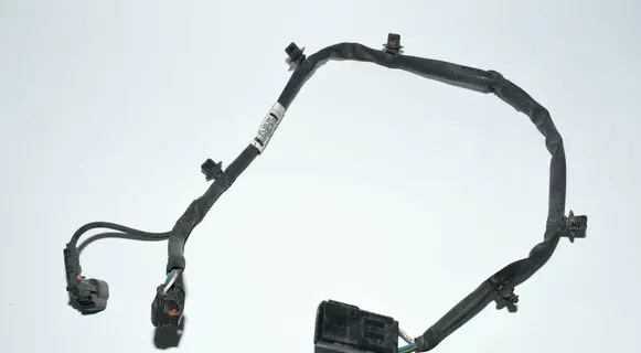 Other wiring loom