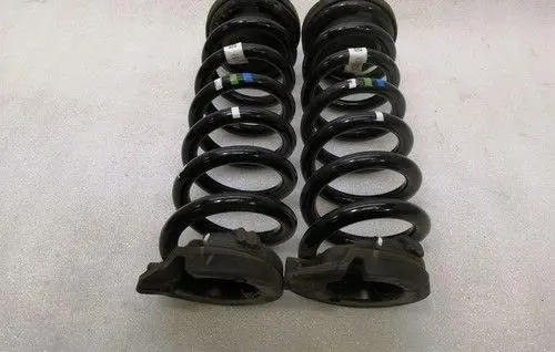 Jaguar I-Pace Rear shock absorber with coil spring J9D35534BB