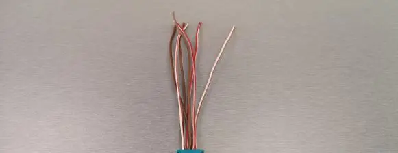 Tail light bulb cover holder