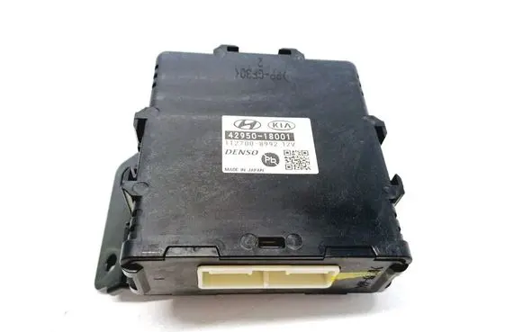 Hyundai Kona I Other control units/modules 4295018001