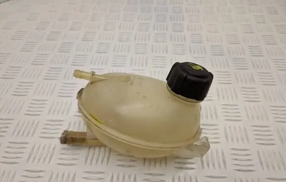 Renault Captur Coolant expansion tank/reservoir 217107259R
