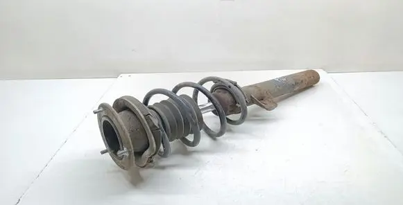 Front shock absorber with coil spring
