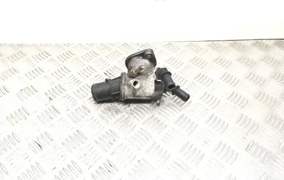 Thermostat/thermostat housing