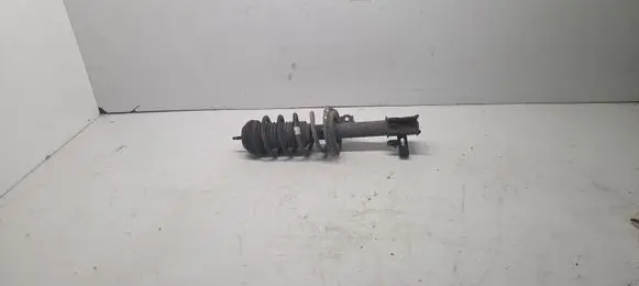 Opel Meriva B Front shock absorber with coil spring 13268956