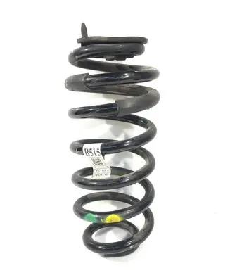 Ford Ecosport Rear coil spring GN155560J4D GN1Z5310F
