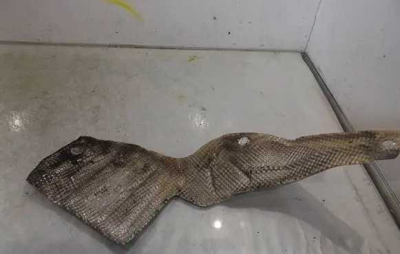BMW 3 E46 Muffler/silencer 8239742