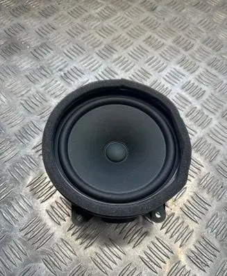 Rear door speaker