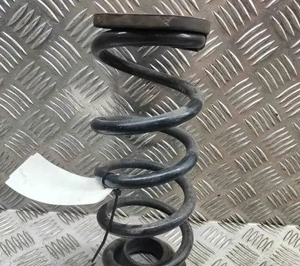 Honda Civic X Rear coil spring 52402TEAT02