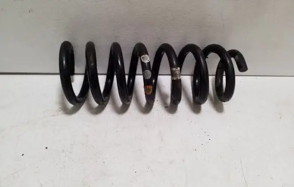 Land Rover Discovery Sport Rear coil spring FK725B749HB