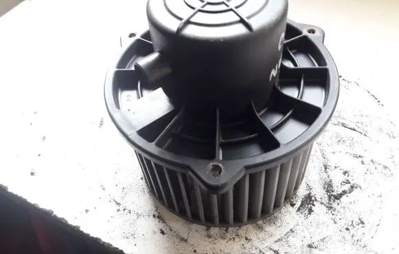 Hyundai Terracan Heater fan/blower F00S330020