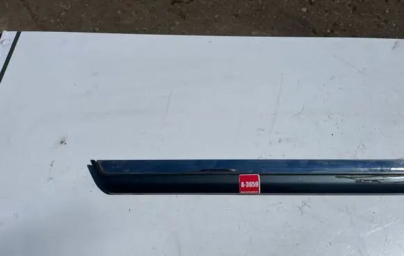Volkswagen PASSAT B7 Rear door trim (molding) 3AA854950A