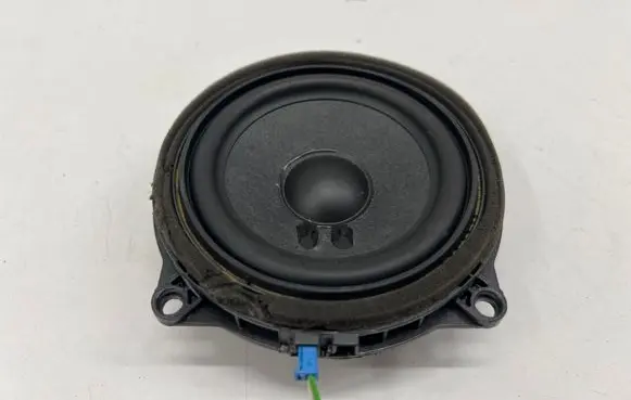 Front door speaker