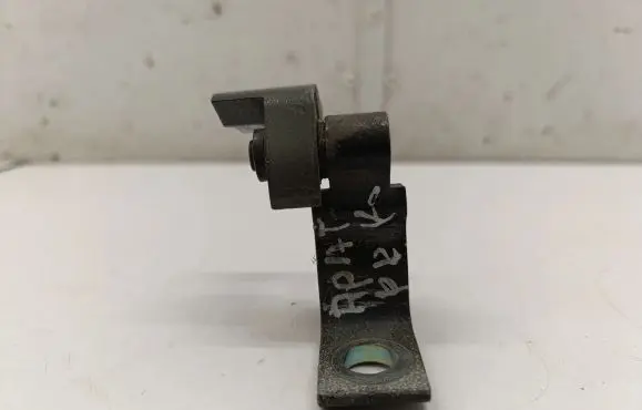 Volkswagen PASSAT B8 Front door lower hinge 