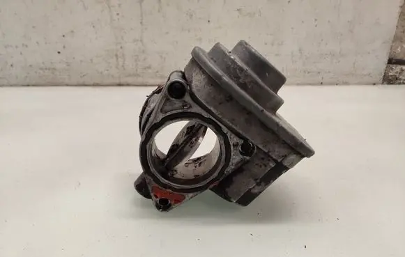 Volkswagen PASSAT B6 Throttle valve 038128063G
