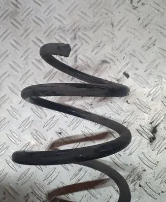 Opel Insignia A Front coil spring