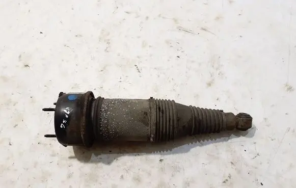 Rear shock absorber/damper
