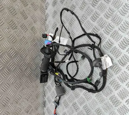 Front door wiring loom