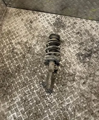 Opel Insignia A Front shock absorber/damper 13219124