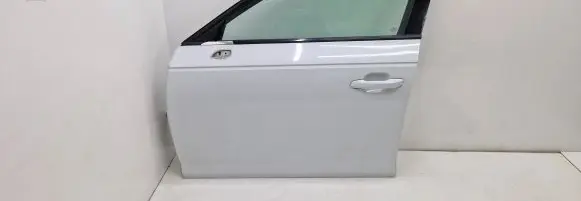 Audi A4 S4 B9 Front door LS9R