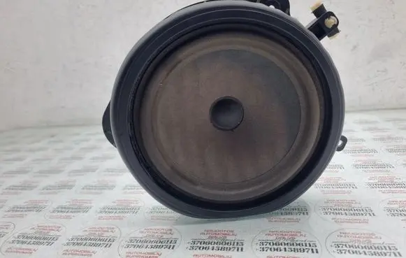 Front door speaker