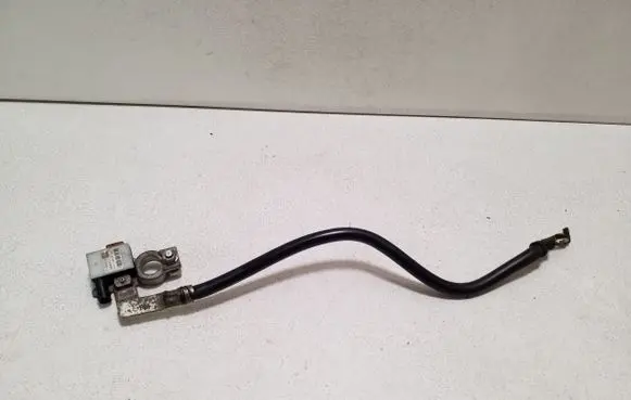 Ford Kuga II Negative earth cable (battery) F1FT10C679BA