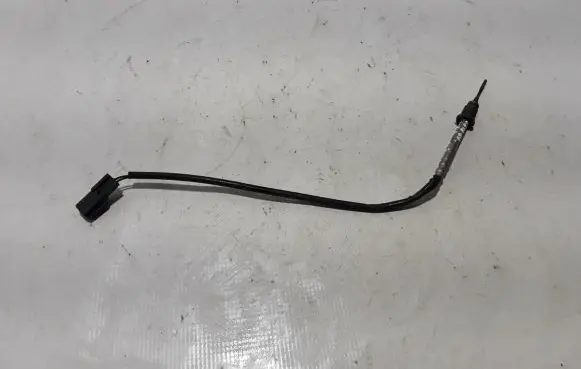 Renault Clio V Exhaust gas temperature sensor 8202137500