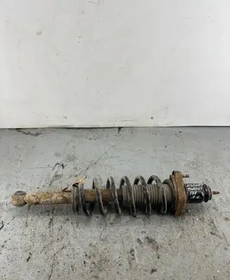 Dodge Journey Rear shock absorber with coil spring 