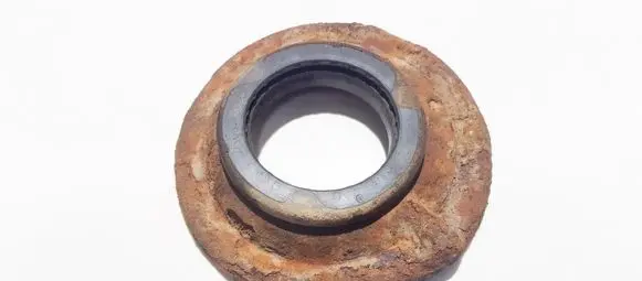 Coil spring mount