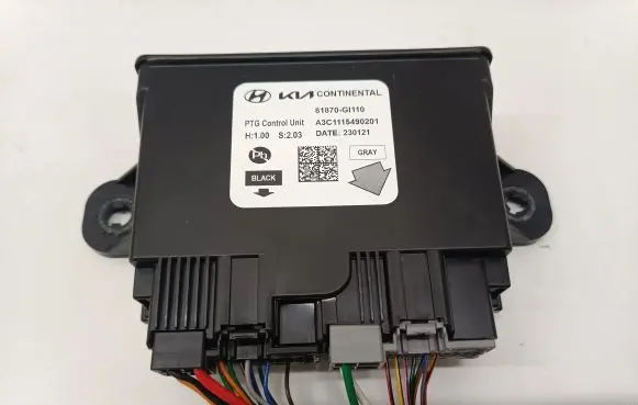 Hyundai Ioniq 5 Other control units/modules 81870GI110