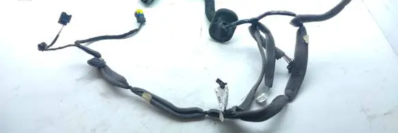 Renault Scenic III - Grand scenic III Front door wiring loom 241256499R