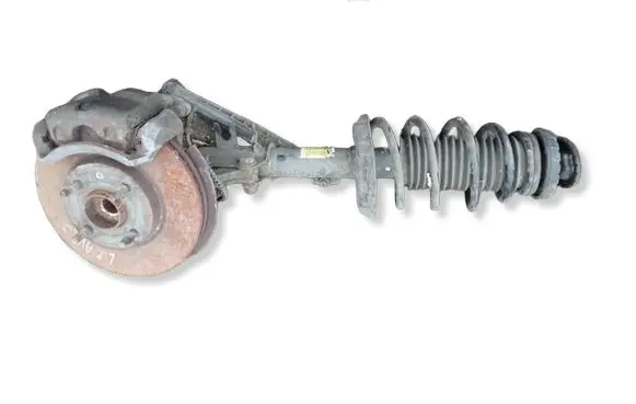 Chevrolet Aveo Front shock absorber with coil spring 0000
