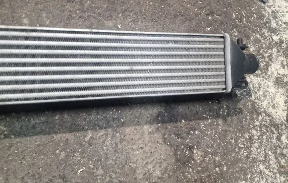 Fiat Punto (199) Intercooler radiator