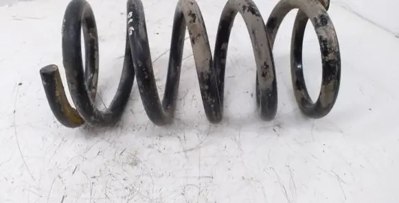 Mitsubishi Grandis Rear coil spring