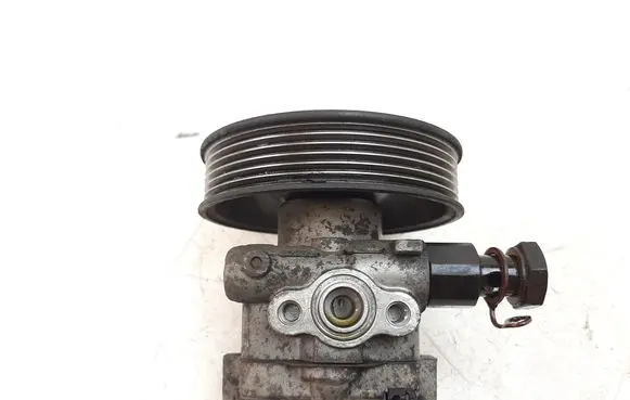 KIA Carens II Power steering pump