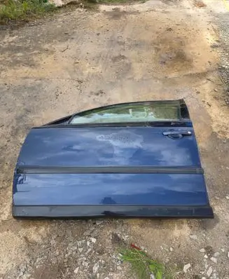 Volkswagen PASSAT B5 Front door