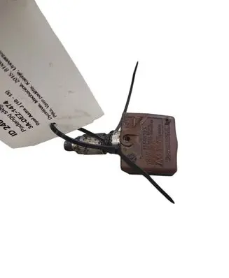 Tire pressure sensor