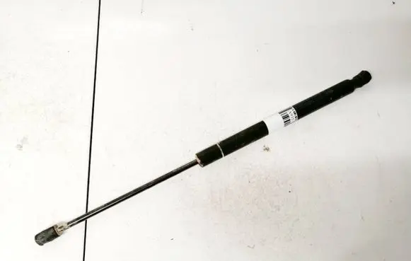 Dodge Journey Tailgate/trunk strut/damper 05178293ac 009088