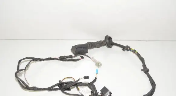 BMW 4 F36 Gran coupe Rear door wiring loom 9325917 61129325917