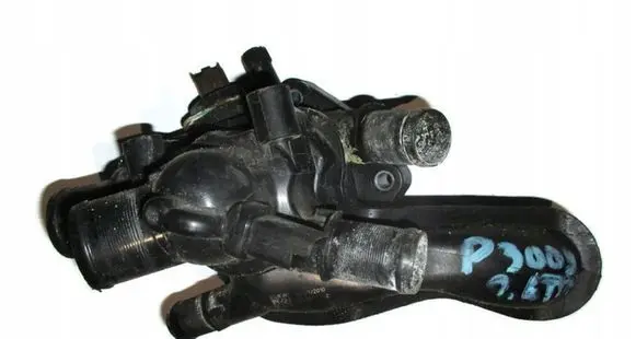 Thermostat/thermostat housing