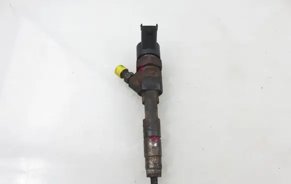 Renault Trafic II (X83) Fuel injector 8200238528 0445110146