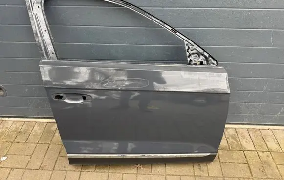 Volkswagen T-Roc Front door 2GA831312F