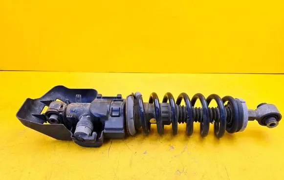 Citroen DS7 Crossback Rear shock absorber/damper 9814380080