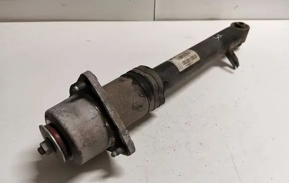 BMW X5 E70 Rear shock absorber/damper 6781922