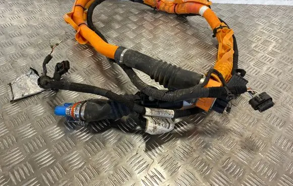Jeep Compass Other wiring loom 560101983