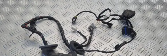 KIA Ceed Rear door wiring loom 916601H030 7A25037071113