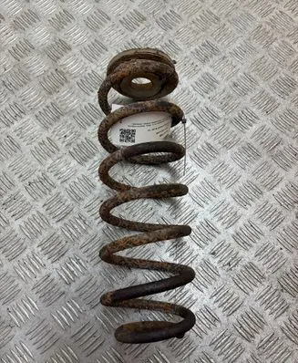 Volkswagen PASSAT B6 Rear coil spring 