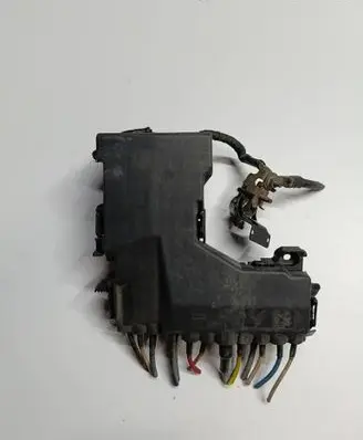 Fuse module